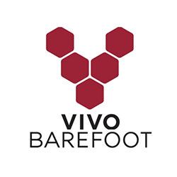 VIVO BAREFOOT Logo mit sechseckigen Formen in Rot und Schwarz.